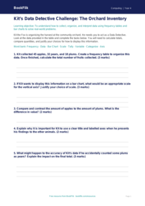Free Data Handling Activity Sheet | Grade 3 | Computing | BookFlik