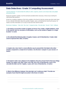 Free Data Handling Assessment | Grade 3 | Computing | BookFlik