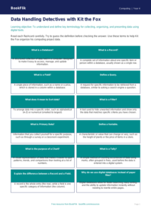 Free Data Handling Flashcards | Grade 3 | Computing | BookFlik