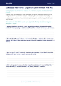 Free Databases Writing Frame | Grade 4 | Computing | BookFlik