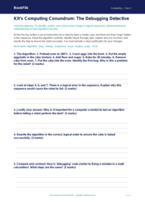 Free Debugging Activity Sheet | Grade 3 | Computing | BookFlik