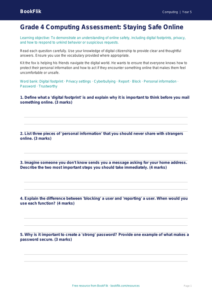 Free E Safety Assessment | Grade 4 | Computing | BookFlik