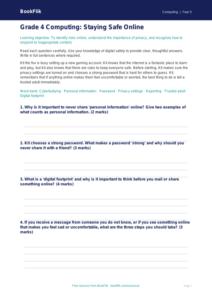 Free Internet Safety Assessment | Grade 4 | Computing | BookFlik