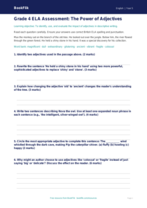 Free Adjectives Assessment | Grade 4 | ELA | BookFlik