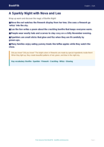 Free Bonfire Night Poster | Pre-K | ELA | BookFlik