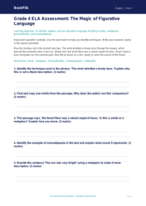 Free Figurative Language Assessment | Grade 4 | ELA | BookFlik