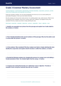 Free Grammar Assessment | Grade 3 | ELA | BookFlik
