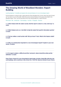 Free Non Chronological Reports Activity Sheet | Grade 3 | ELA | BookFlik