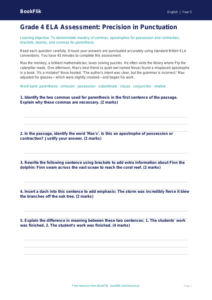 Free Punctuation Assessment | Grade 4 | ELA | BookFlik