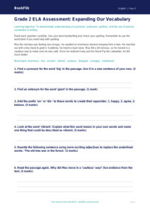 Free Vocabulary Assessment | Grade 2 | ELA | BookFlik