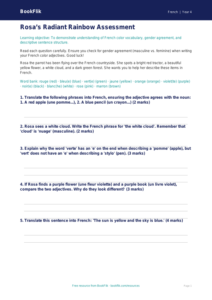 French Colors Worksheet for Grade 3 | Advanced French Vocabulary