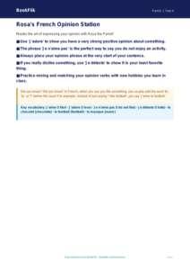 Free Opinion Phrases Poster | Grade 3 | French | BookFlik