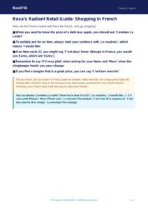 Free Shopping Poster | Grade 3 | French | BookFlik