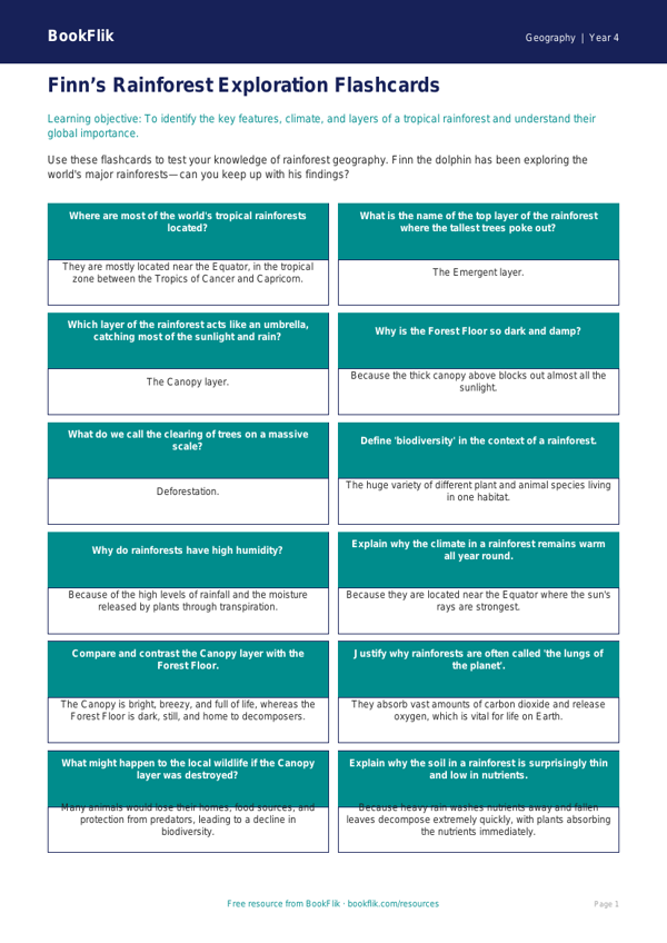 Free Rainforests Flashcards | Grade 3 | Geography | BookFlik worksheet preview — Geography Rainforests