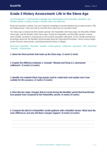 Free Stone Age Assessment | Grade 3 | History | BookFlik