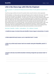 Free Stone Age Comprehension | Grade 4 | History | BookFlik