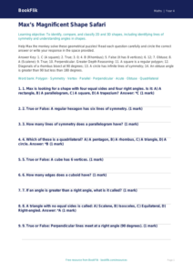 Advanced Geometry Challenge | Grade 3 Math | BookFlik