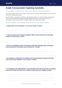 Free Symmetry Assessment | Grade 3 | Math | BookFlik