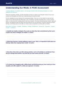 Mental Health Assessment for Grade 3 Students | Wellness Activity | BookFlik
