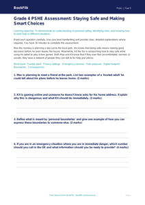 Free Personal Safety Assessment | Grade 4 | Health & Wellness | BookFlik