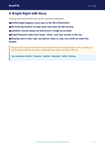 Free Bonfire Night Poster | Pre-K | Social Studies | BookFlik