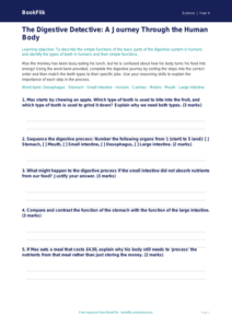 Free Animals Including Humans Activity Sheet | Grade 3 | Science | BookFlik