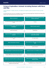 Free Animals Including Humans Flashcards | Grade 3 | Science | BookFlik