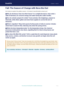 Free Autumn Science Poster | Grade 3 | Science | BookFlik