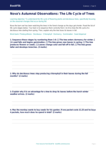 Free Autumn Science Activity Sheet | Grade 4 | Science | BookFlik