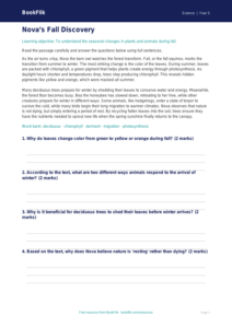 Free Autumn Science Comprehension | Grade 4 | Science | BookFlik