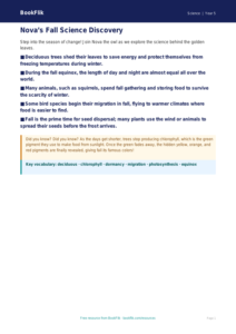 Free Autumn Science Poster | Grade 4 | Science | BookFlik