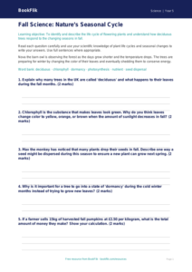 Free Autumn Science Worksheet | Grade 4 | Science | BookFlik