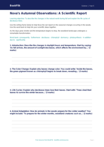 Free Autumn Science Writing Frame | Grade 4 | Science | BookFlik