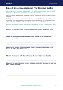 Free Digestion Assessment | Grade 3 | Science | BookFlik