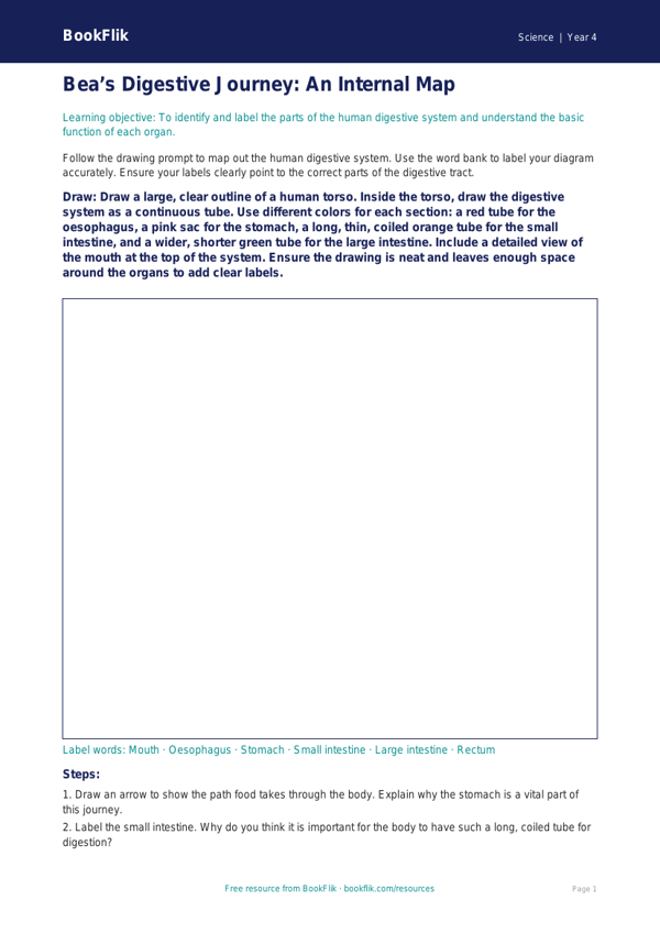 Free Digestion Drawing Sheet | Grade 3 | Science | BookFlik worksheet preview โ Science Digestion