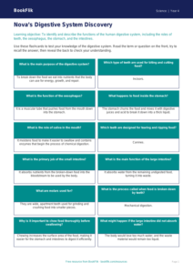 Free Digestion Flashcards | Grade 3 | Science | BookFlik