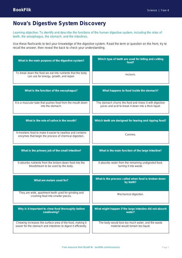 Free Digestion Flashcards | Grade 3 | Science | BookFlik worksheet preview — Science Digestion