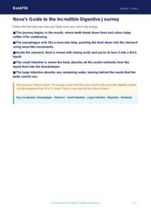 Free Digestion Poster | Grade 3 | Science | BookFlik