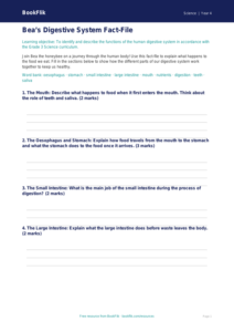 Free Digestion Template | Grade 3 | Science | BookFlik