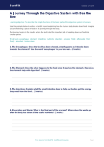 Free Digestion Writing Frame | Grade 3 | Science | BookFlik