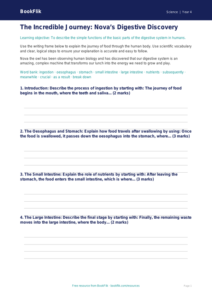 Free Digestion Writing Frame | Grade 3 | Science | BookFlik