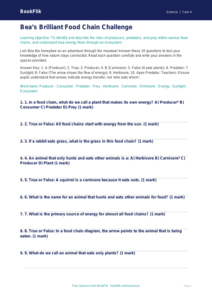 Science food chains quiz grade 3 greater depth