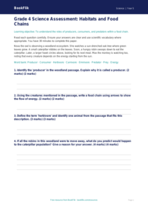 Free Food Chains Assessment | Grade 4 | Science | BookFlik