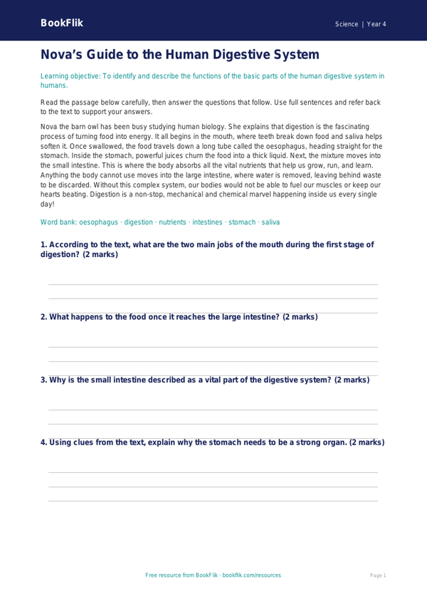 Science human body comprehension grade 3 greater depth worksheet preview — Science Human Body
