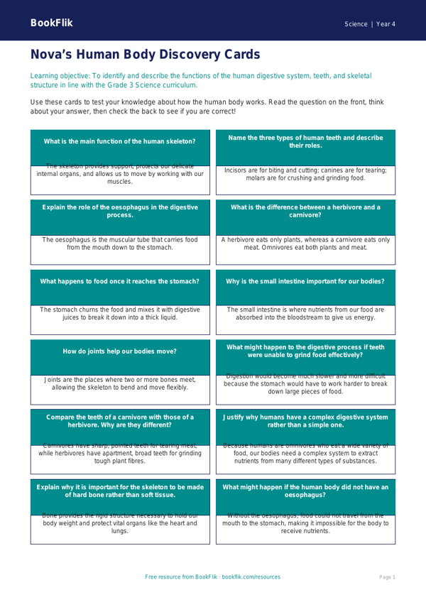 Science human body flashcards grade 3 greater depth worksheet preview — Science Human Body