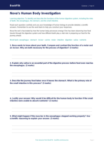 Science human body worksheet grade 3 greater depth