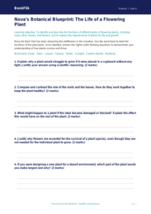 Free Plants Activity Sheet | Grade 3 | Science | BookFlik