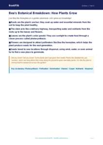 Free Plants Poster | Grade 4 | Science | BookFlik