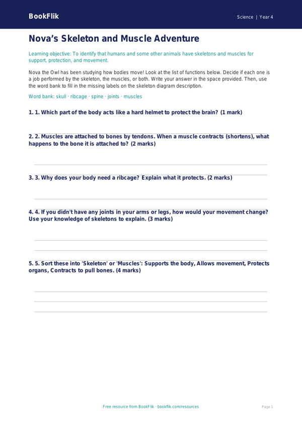 Free Skeleton And Muscles Activity Sheet | Grade 3 | Science | BookFlik worksheet preview — Science Skeleton And Muscles