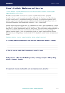Science skeleton and muscles comprehension grade 3 core